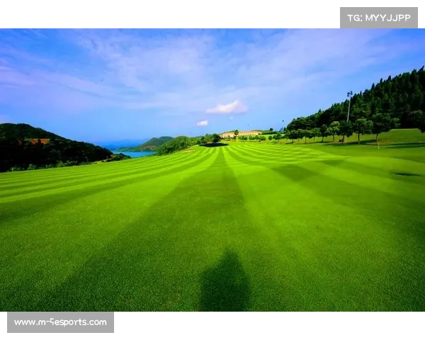 高尔夫产业生态向多元场景拓展，覆盖康养、养老、娱乐业态构建新增长曲线