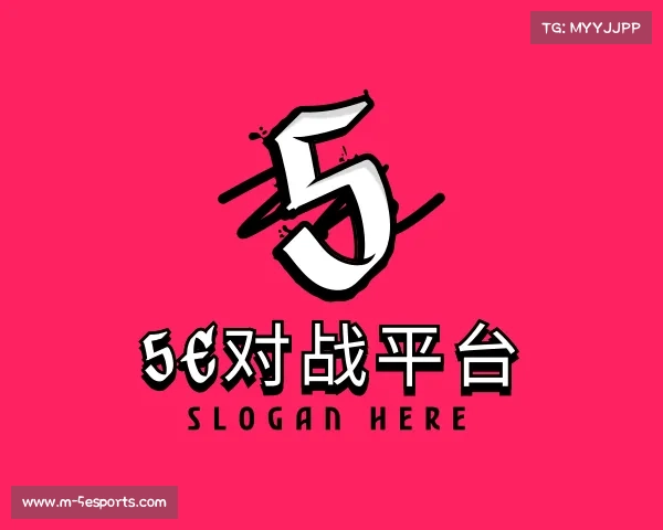 关于5e对战平台